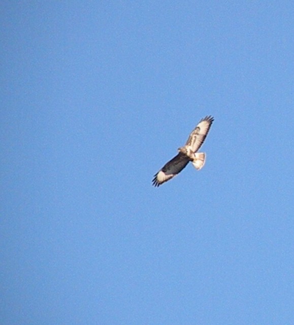 dalla finestra di casa...